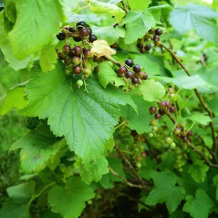 Przystanek Przegalina 아파트 그단스크