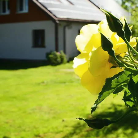 Przystanek Przegalina