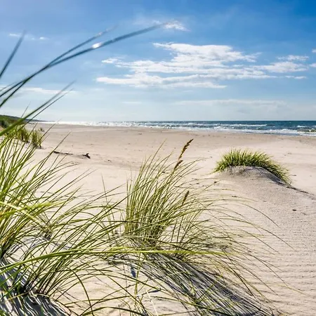 Przystanek Przegalina グダニスク