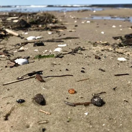 Przystanek Przegalina アパート