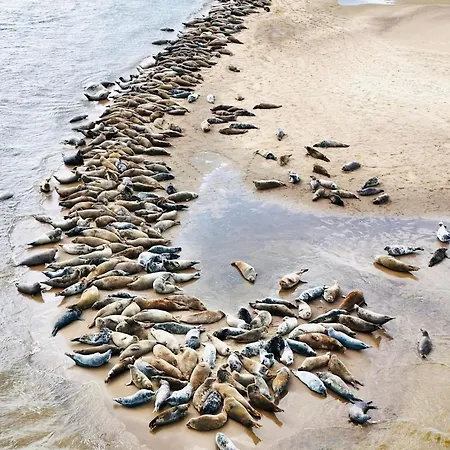 Przystanek Przegalina *