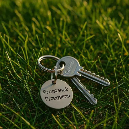 アパート Przystanek Przegalina グダニスク