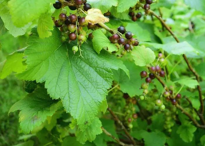 Przystanek Przegalina Apartmán Gdaňsk