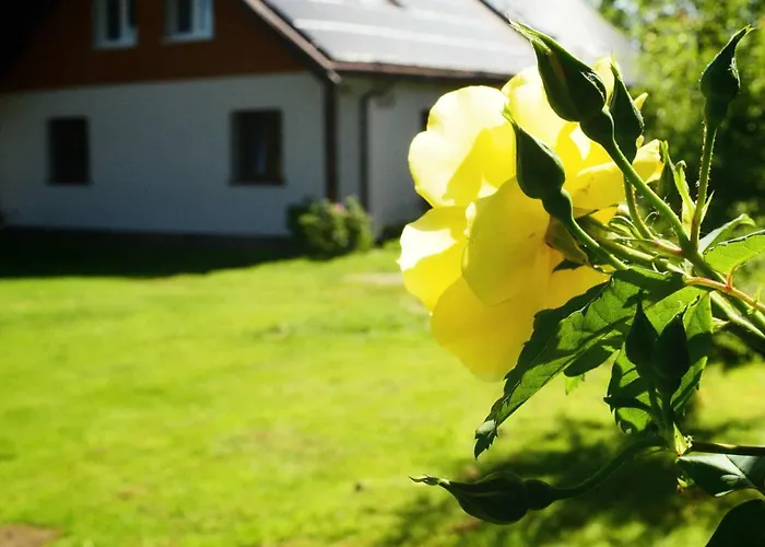 Przystanek Przegalina