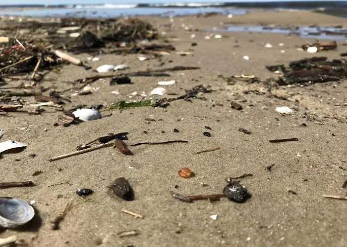 Przystanek Przegalina Appartement