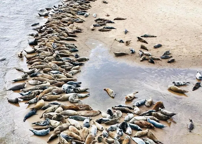 Przystanek Przegalina *